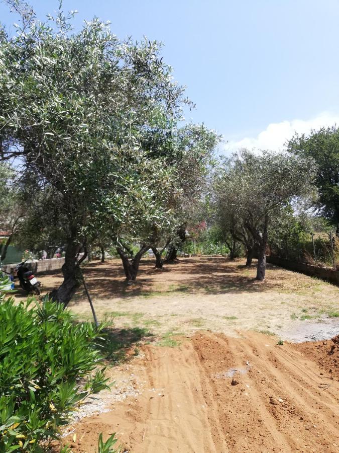 Anestis Studios Agios Georgios  Exterior foto